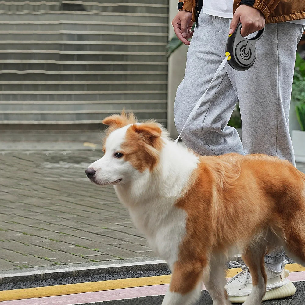 Retractable Dog Leash Leading Collar for Dogs Pet Walking Leash Adjustable Reflective Tape Walking Outdoor Dog Rope Accessories